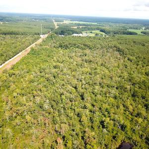 Photo #6 of SOLD property in Off Okelly Road, Suffolk, VA 113.0 acres