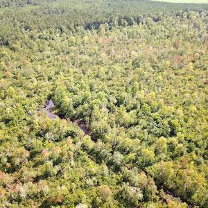 Photo #8 of SOLD property in Off Okelly Road, Suffolk, VA 113.0 acres