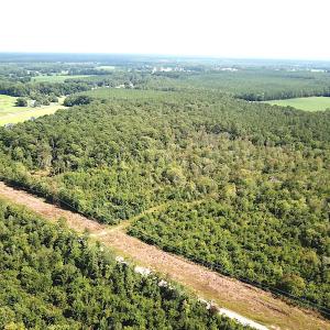 Photo #9 of SOLD property in Off Okelly Road, Suffolk, VA 113.0 acres