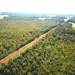 Photo #10 of SOLD property in Off Okelly Road, Suffolk, VA 113.0 acres