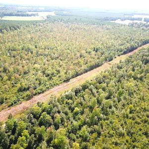 Photo #11 of SOLD property in Off Okelly Road, Suffolk, VA 113.0 acres