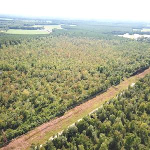 Photo #12 of SOLD property in Off Okelly Road, Suffolk, VA 113.0 acres