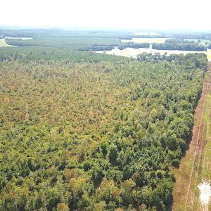 Photo #13 of SOLD property in Off Okelly Road, Suffolk, VA 113.0 acres