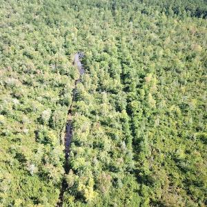 Photo #14 of SOLD property in Off Okelly Road, Suffolk, VA 113.0 acres