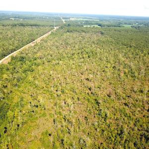 Photo #16 of SOLD property in Off Okelly Road, Suffolk, VA 113.0 acres