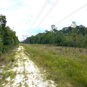 Photo #18 of SOLD property in Off Okelly Road, Suffolk, VA 113.0 acres