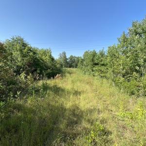 Photo #21 of SOLD property in Off Okelly Road, Suffolk, VA 113.0 acres