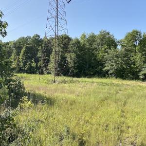 Photo #23 of SOLD property in Off Okelly Road, Suffolk, VA 113.0 acres