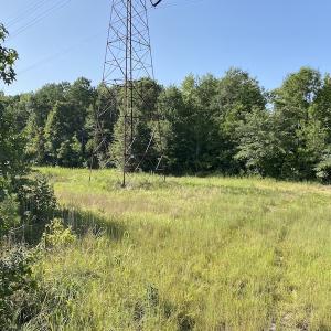 Photo #23 of SOLD property in Off Okelly Road, Suffolk, VA 113.0 acres