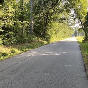 Photo #25 of SOLD property in Off Okelly Road, Suffolk, VA 113.0 acres