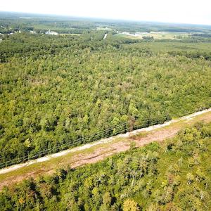 Photo #4 of SOLD property in Off Dutch Road, Holland, VA 103.0 acres