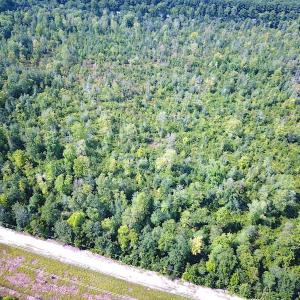 Photo #5 of SOLD property in Off Dutch Road, Holland, VA 103.0 acres