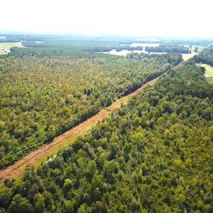 Photo #6 of SOLD property in Off Dutch Road, Holland, VA 103.0 acres