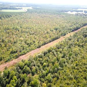 Photo #7 of SOLD property in Off Dutch Road, Holland, VA 103.0 acres
