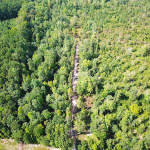 Photo #8 of SOLD property in Off Dutch Road, Holland, VA 103.0 acres