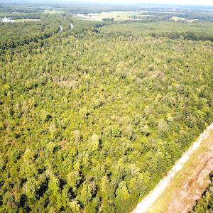 Photo #9 of SOLD property in Off Dutch Road, Holland, VA 103.0 acres