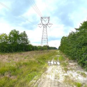 Photo #10 of SOLD property in Off Dutch Road, Holland, VA 103.0 acres