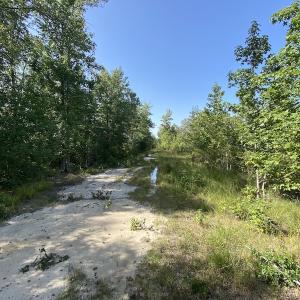 Photo #14 of SOLD property in Off Dutch Road, Holland, VA 103.0 acres