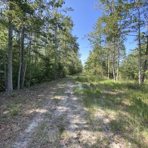 Photo #13 of SOLD property in Off Dutch Road, Holland, VA 103.0 acres