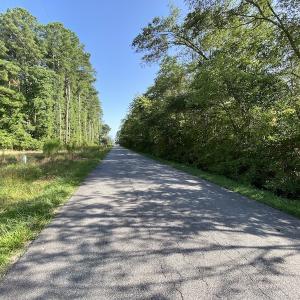 Photo #12 of SOLD property in Off Dutch Road, Holland, VA 103.0 acres