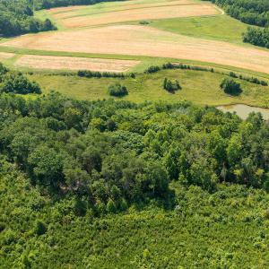 Photo #10 of SOLD property in Adkins Lane, Gretna, VA 4.0 acres