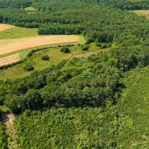 Photo #11 of SOLD property in Adkins Lane, Gretna, VA 4.0 acres