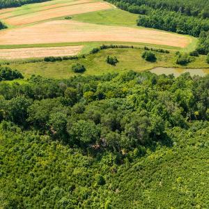 Photo #12 of SOLD property in Adkins Lane, Gretna, VA 4.0 acres
