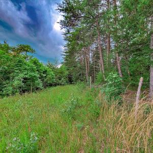 Photo #13 of SOLD property in Adkins Lane, Gretna, VA 4.0 acres