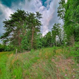 Photo #14 of SOLD property in Adkins Lane, Gretna, VA 4.0 acres