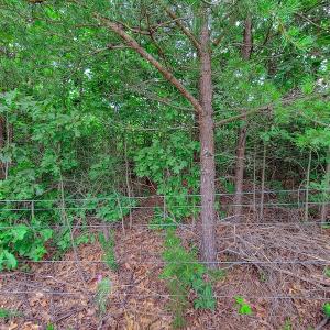 Photo #15 of SOLD property in Adkins Lane, Gretna, VA 4.0 acres
