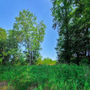 Photo #16 of SOLD property in Adkins Lane, Gretna, VA 4.0 acres