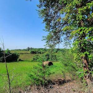 Photo #17 of SOLD property in Adkins Lane, Gretna, VA 4.0 acres