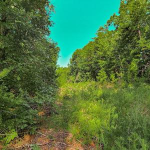 Photo #18 of SOLD property in Adkins Lane, Gretna, VA 4.0 acres