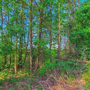 Photo #19 of SOLD property in Adkins Lane, Gretna, VA 4.0 acres