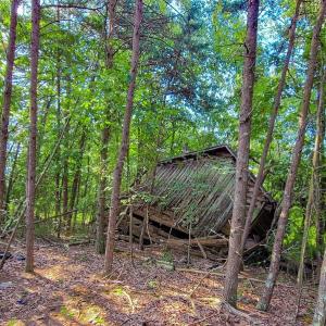 Photo #22 of SOLD property in Adkins Lane, Gretna, VA 4.0 acres