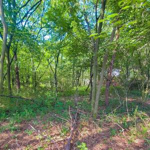 Photo #23 of SOLD property in Adkins Lane, Gretna, VA 4.0 acres