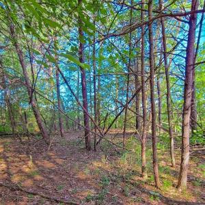 Photo #24 of SOLD property in Adkins Lane, Gretna, VA 4.0 acres