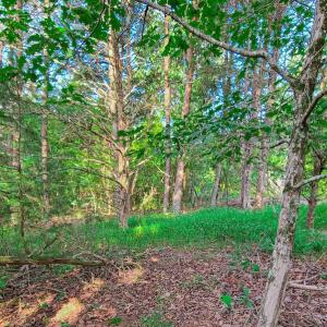 Photo #29 of SOLD property in Adkins Lane, Gretna, VA 4.0 acres