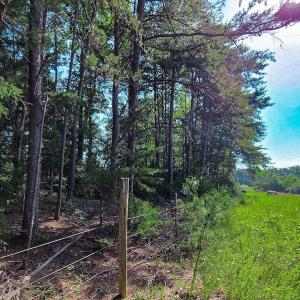 Photo #30 of SOLD property in Adkins Lane, Gretna, VA 4.0 acres