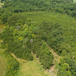 Photo #5 of SOLD property in Adkins Lane, Gretna, VA 4.0 acres