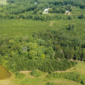 Photo #6 of SOLD property in Adkins Lane, Gretna, VA 4.0 acres