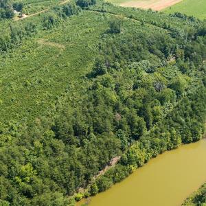 Photo #7 of SOLD property in Adkins Lane, Gretna, VA 4.0 acres