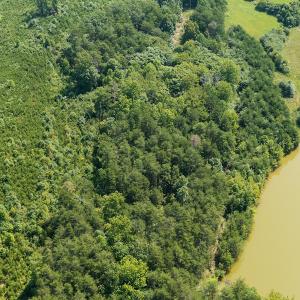 Photo #8 of SOLD property in Adkins Lane, Gretna, VA 4.0 acres