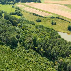 Photo #9 of SOLD property in Adkins Lane, Gretna, VA 4.0 acres