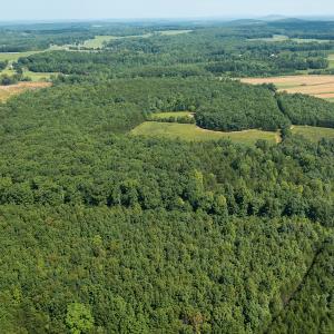 Photo #8 of SOLD property in Adkins Lane, Gretna, VA 13.0 acres