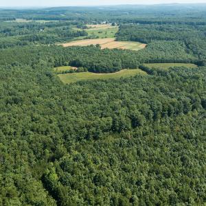 Photo #9 of SOLD property in Adkins Lane, Gretna, VA 13.0 acres
