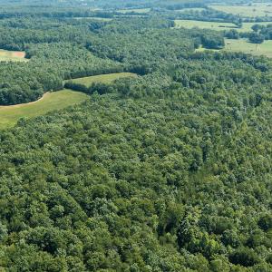 Photo #10 of SOLD property in Adkins Lane, Gretna, VA 13.0 acres