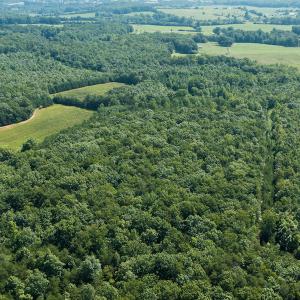 Photo #11 of SOLD property in Adkins Lane, Gretna, VA 13.0 acres