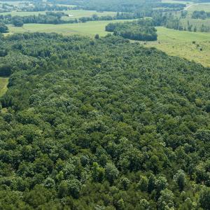 Photo #12 of SOLD property in Adkins Lane, Gretna, VA 13.0 acres