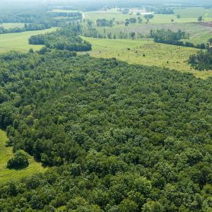 Photo #13 of SOLD property in Adkins Lane, Gretna, VA 13.0 acres